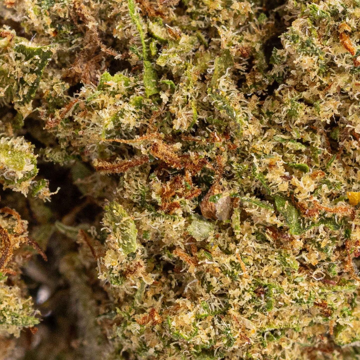 Fleur de CBD - Orange Zkittles (image 3)