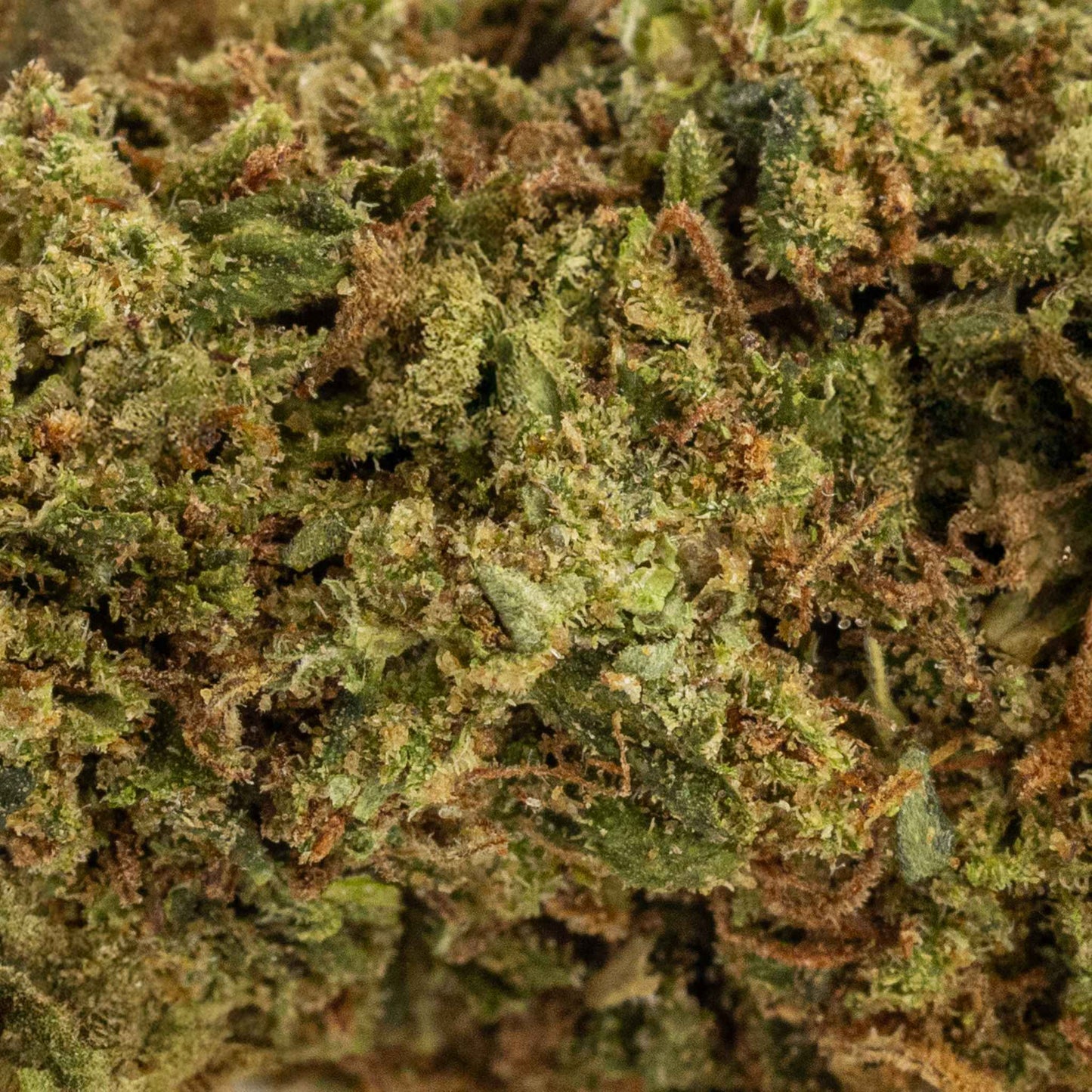 Fleur de CBD - Skywalker OG (image 3)