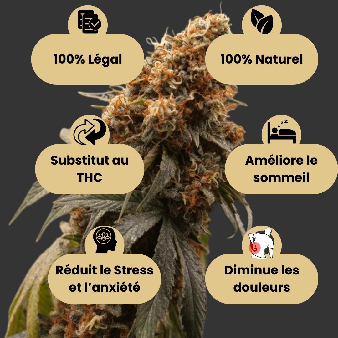 Image d'illustration des bienfaits du CBD