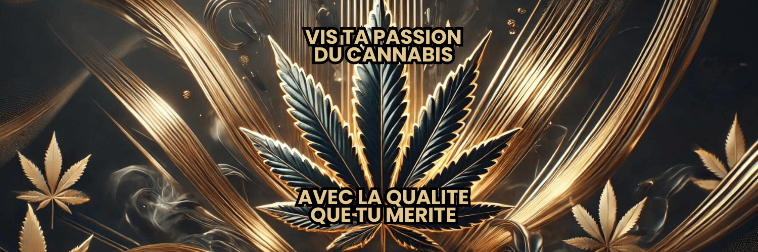 Bannière Mass-A Shop avec slogan