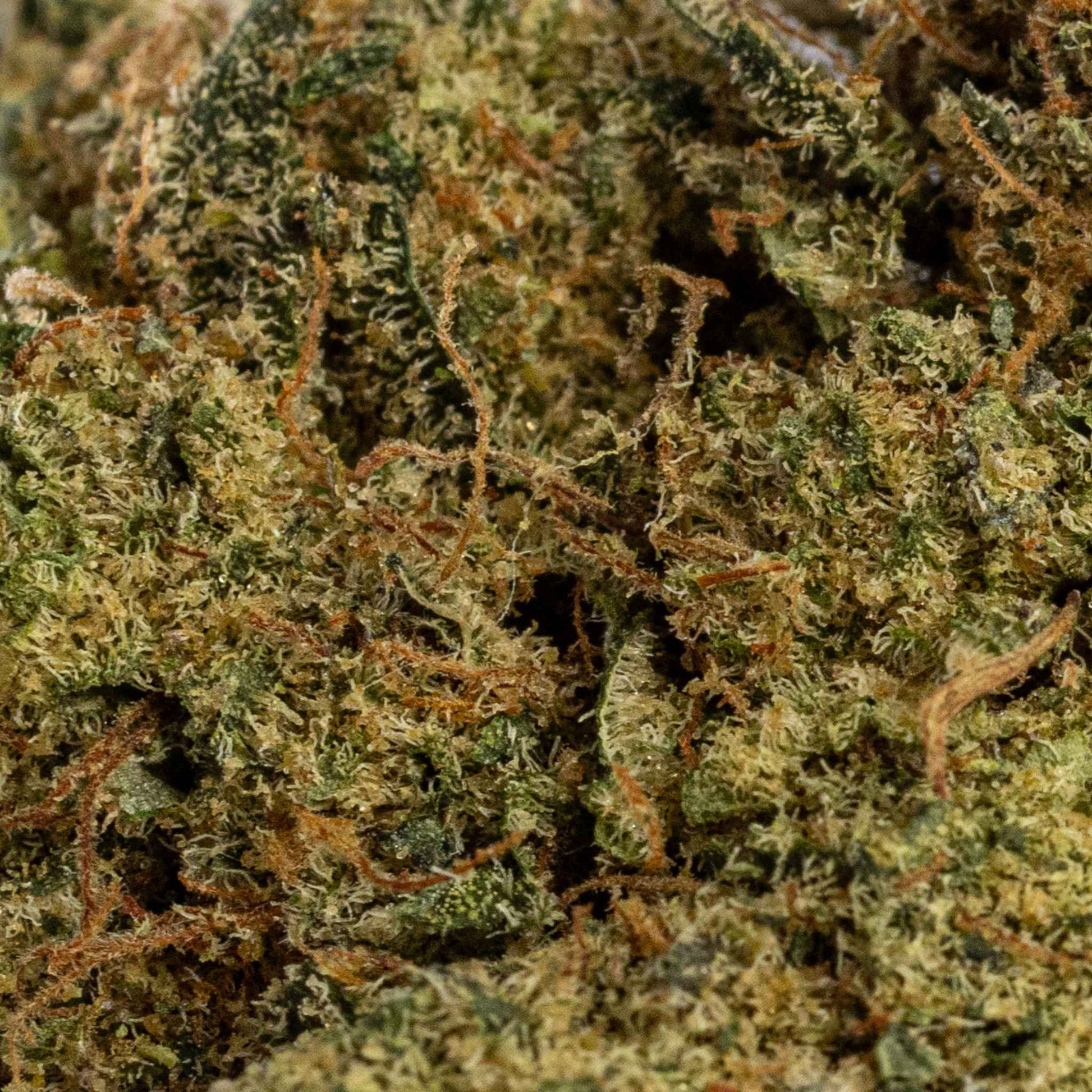 Fleur de CBD - Gelato 33 (image 3)