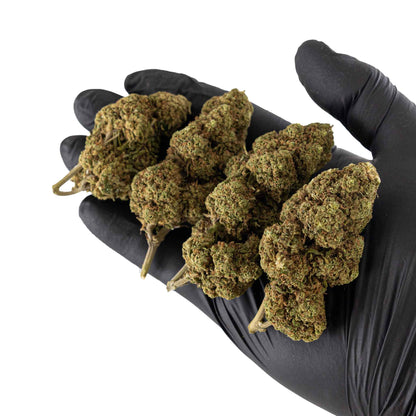 Fleur de CBD - Skywalker OG (image 2)